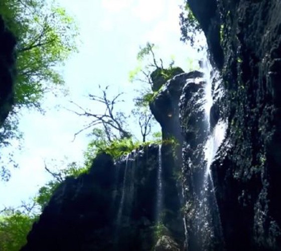 青山綠水，白龍江畔江畔息白鷺，兩岸綠橄欖入眼的都是純樸自然枝上花開(kāi)，春來(lái)水暖魚(yú)蝦戲水，鳥(niǎo)語(yǔ)花香心中充滿(mǎn)著舒暢之感祥宇生態(tài)產(chǎn)業(yè)園，位于隴南市武..